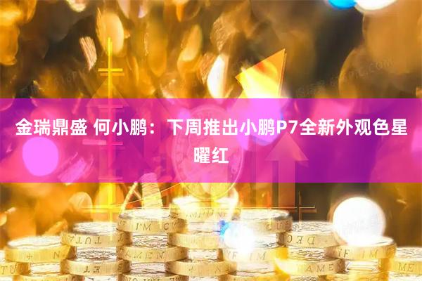 金瑞鼎盛 何小鹏：下周推出小鹏P7全新外观色星曜红