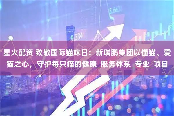 星火配资 致敬国际猫咪日：新瑞鹏集团以懂猫、爱猫之心，守护每只猫的健康_服务体系_专业_项目