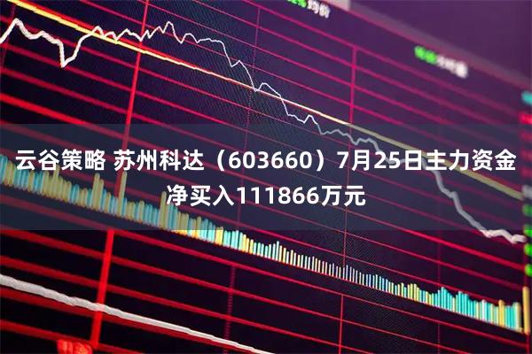 云谷策略 苏州科达（603660）7月25日主力资金净买入111866万元