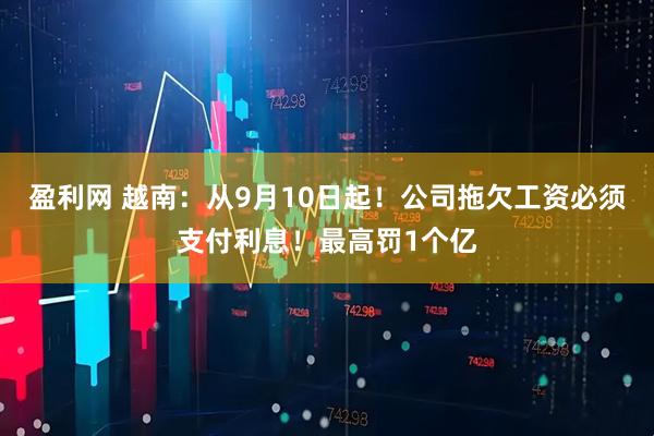 盈利网 越南：从9月10日起！公司拖欠工资必须支付利息！最高罚1个亿